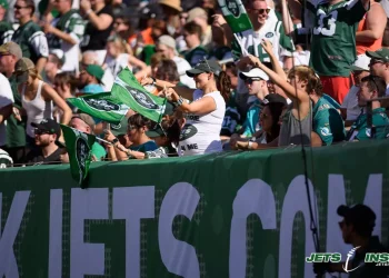 Fans of the NY Jets in the stands cheering